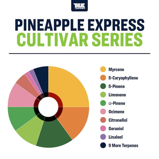 Pineapple Express True Terpenes Canada