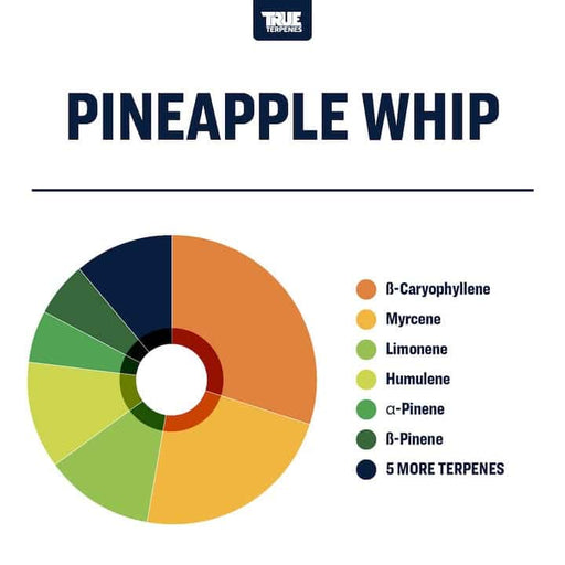 Pineapple Whip Best True Terpenes Canada