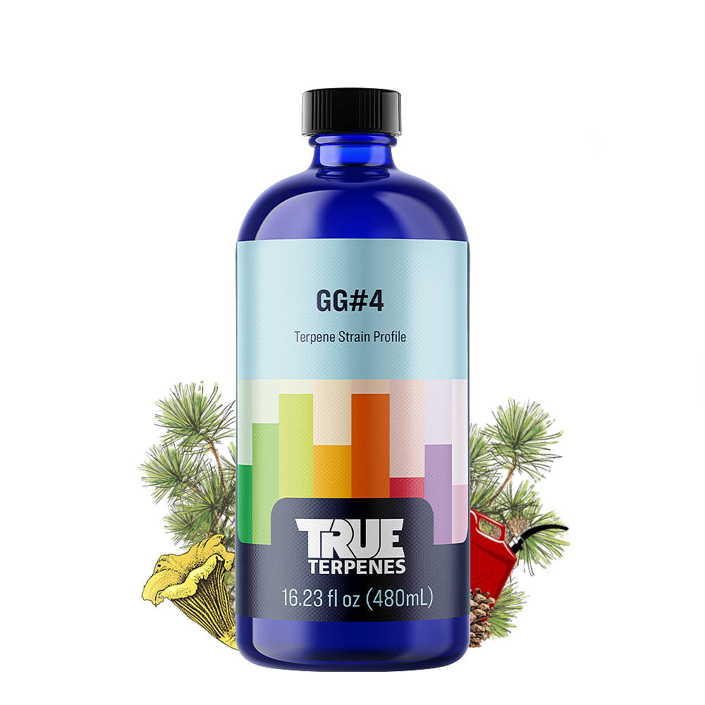 Buy Gorilla Glue #4 - 100% Terpene Profile